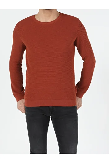 Colin's Slim Fit Round Neck Men's Orange Sweater