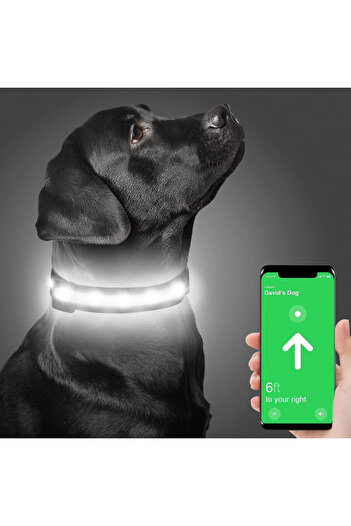 Dynmeow Zgardă pentru câini, LED, nailon, negru/alb, mărimea S