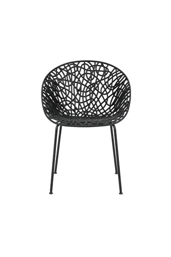 rexa Neiman Modern and Durable Dining Chairs