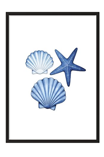 Postifull Black Framed Poster, Seashell, Illustration, Blue Color Poster, Summer Selection of 2025, No:109601