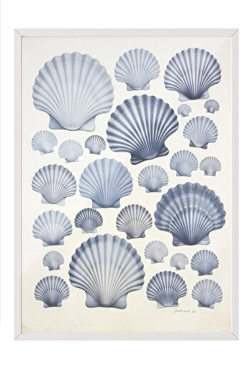 Postifull White Framed Poster, Seashells, Illustration, Blue Color Poster, 2025 Summer Selection, No:109674