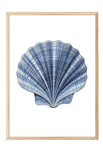 Postifull Wooden Framed Painting, Blue Seashell, Illustration, Blue Color Poster, 2025 Summer Selection, No:10972