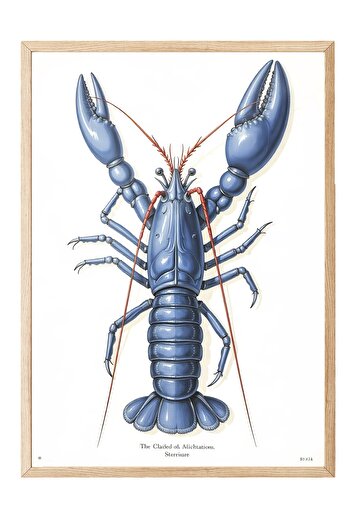 Postifull Wooden Framed Poster, Crab, Illustration, Blue Color Poster, 2025 Summer Selection, No:109575