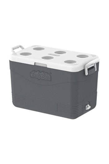 Generic Cosmoplast Keep Cold BPA-Free Picnic Ice Box with Handle Grey 46 Liter