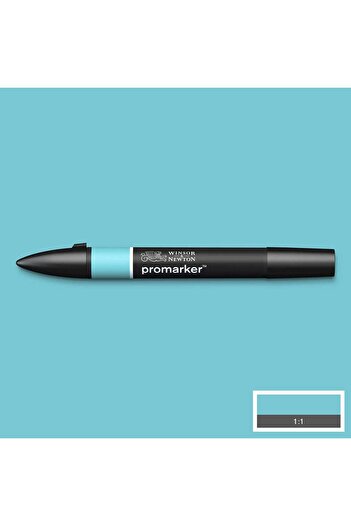 Winsor Newton Winsor & Newton Promarker Duck Egg 268 (C528)