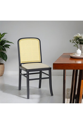 rexa Stable Framed Woven Wood Armless Chair