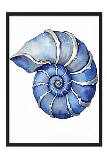 Postifull Black Framed Poster, Seashell, Illustration, Blue Color Poster, 2025 Summer Selection, No:109576