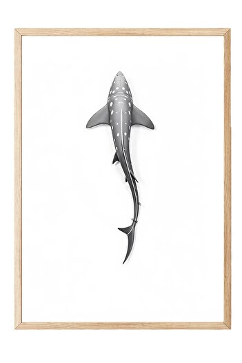 Postifull Wooden Framed Poster, Long Whale, Illustration, Gray Color Poster, 2025 Summer Selection, No:109610