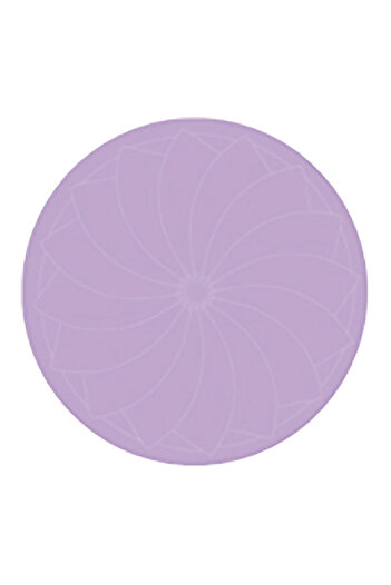 Bien Servi Dinner Plate with Decal Multicolor