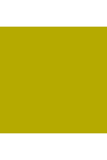 Winsor Newton Winsor & Newton Promarker Moss 361 (Y334)