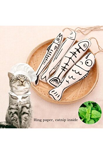 modacepte Balikli Fishing Rod Cat Toy