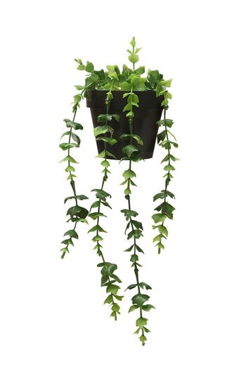 HOMİNG Homing Artificial Pendant Lamp Black Potted Green Plant Eucalyptus Style 241418