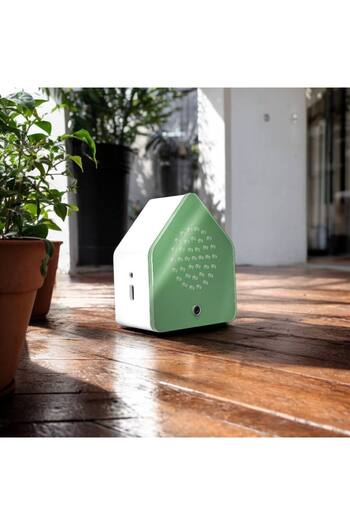 OEM Ambient Sound Audio Box, Nightingale Green, Motion Sensor, Usb-c Charging