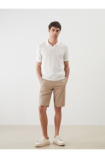 LC Waikiki Polo Neck Short Sleeve Striped Men's T-Shirt
