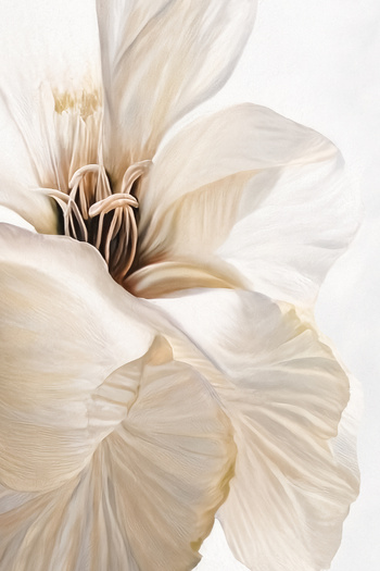 Harikabirev Amazing | Cream-Gold Flower Combination (Elegant) | Plexiglass Framed Mdf Plksmdf