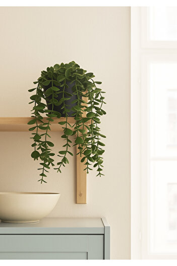 HOMİNG Homing Potted Hanging Eucalyptus Mixed Color Pot 28 cm 241590