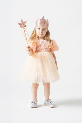 Banamio Rosalinda Baby Girl's Cotton Lined Rose Detailed Fluffy Tulle Tutu Dress
