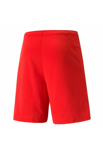 Puma Men's Sports Shorts - Teamrise