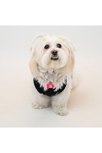 Buddy Store Cat & Dog Outfit Dresses Undershirt - Chicago Bulls Printed Black Undershirt