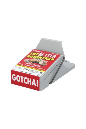 Generic Intruder The Better Environment-Friendly Durable and Reusable Rodent Trap Grey