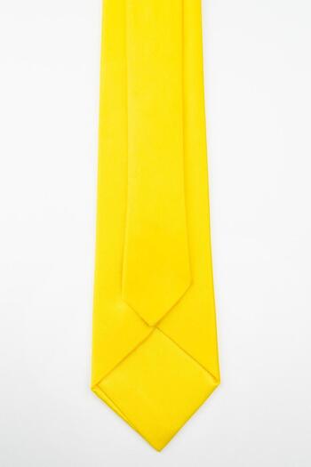 SIRRI Satin Tie for Men - for Groomsmen, Suits and Special Occasions - Ages 14 and up (6X150Cm)