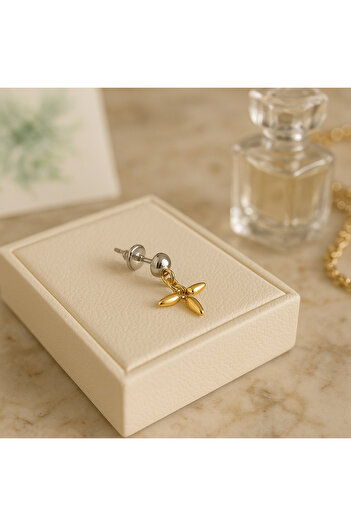 HDCreativeDesign 1 Pair of Star Stainless Steel Earrings