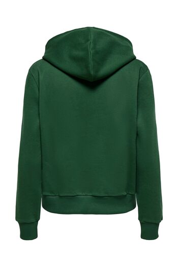 ONLY Kapuzenpullover ONLNOLI Sweatshirt