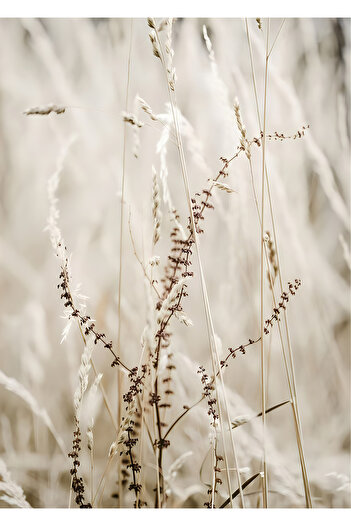 Harikabirev Amazing | Soft Cream Plant-Palm Model | Plexiglass Framed Mdf Plksmdf