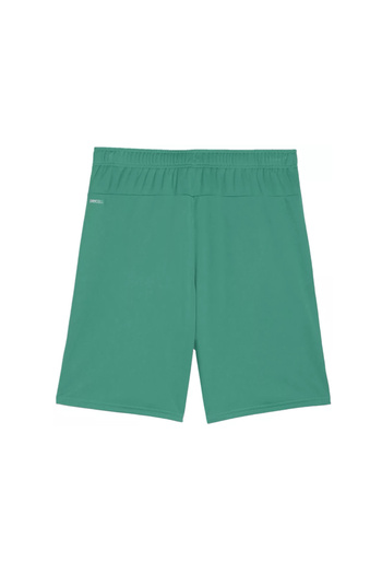 Puma Men's Fitness Shorts - Quick Dry, Micropoly, Training Astroturf, Short Leggings