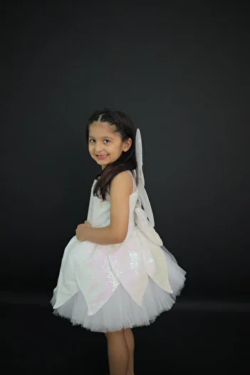Star Kids Girl's Fairy Costume, Tinkerbell Fairy Dress, Special Design Sequin Fabric Including Wings