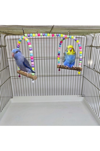 aliceshop Bird Swing 2 Pack Bird Toy