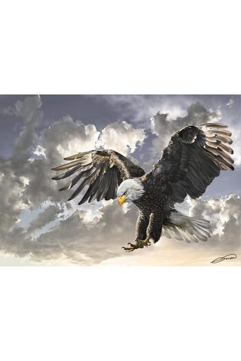 Art Puzzle لغز أبيض وأسود 500 قطعة