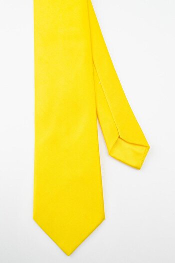 SIRRI Satin Tie for Men - for Groomsmen, Suits and Special Occasions - Ages 14 and up (6X150Cm)