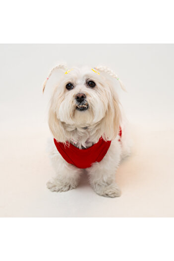 Buddy Store Cat & Dog Outfit Dresses Clothes Undershirt - Red Undershirt with Annoying Face Print