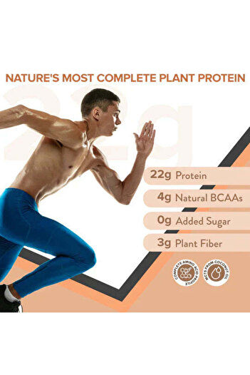 Wellbeing Nutrition Superfood Plant Protein Dark Chocolate Hazelnut