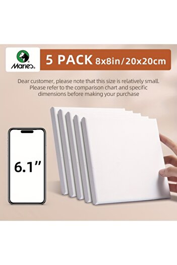 Choice مجموعة من 5 قطع قماشية ممدودة فارغة من 5 حدائق ماري، مقاس 8×8 بوصة، مقاس صغير 20×20 سم، لطلاء الأكريليك