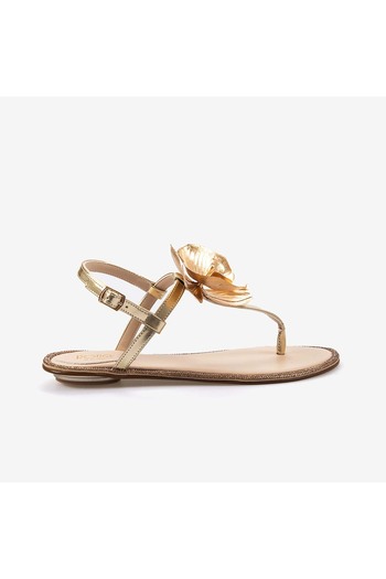Rouge Women's Sandals R1-3