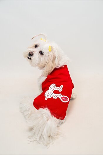 Buddy Store Cat & Dog Clothing Clothes - Printed Red Undershirt (Combed 100% Cotton)