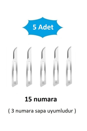 QBR Home Pack of 5 15 Number Wooden Sculpture Carving Art Replacement Blade. Plug-In Type (Compatible with Sapa Number 3)
