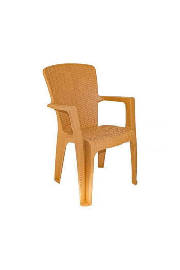 rexa Rattan-Style Plastic Chair – Durable Indoor/Outdoor Seating (44x57x90 cm