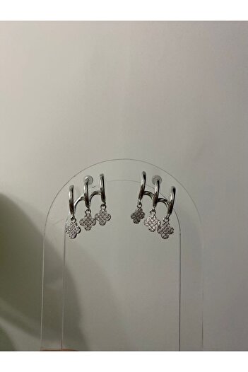 stainless steell Çoklu Görünüm Taş Detaylı Çelik Küpe