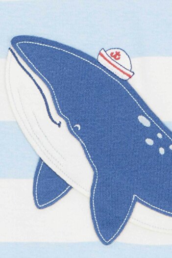 Carter's Erkek Bebek Pijama Set 4'lü Paket