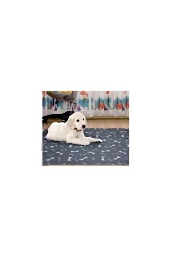OEM Pătură absorbantă impermeabilă, reutilizabilă pentru animale de companie 70x80 cm, ideală pentru dresaj
