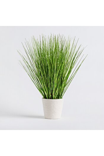 HomeVibes Flori decorative din travertin