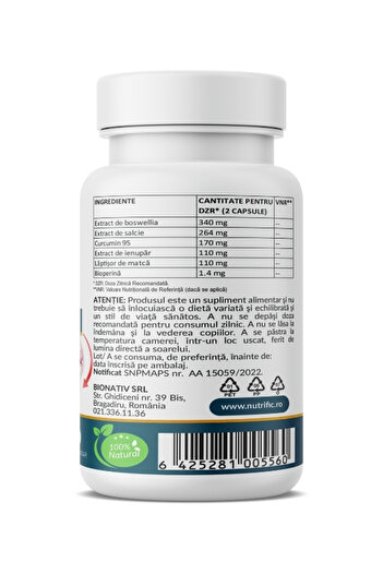 NUTRIFIC Artro FORTE formula, 100% natural, supports bones and joints, 60 vegetable capsules