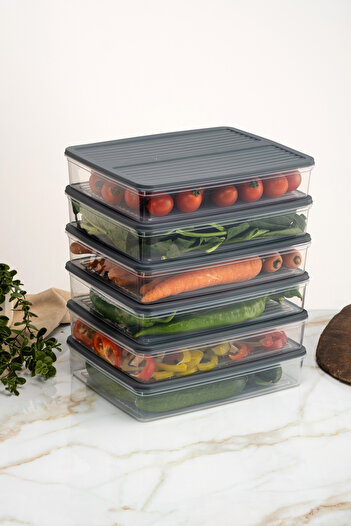 Evrio 6-Piece Anthracite (6 X 2400) ml Refrigerator Organizer Microwave and Freezer Suitable Ice Cabinet Storage Container