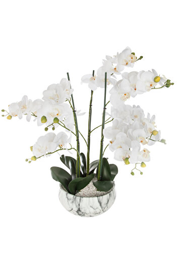 HomeVibes Flori decorative Orhidee