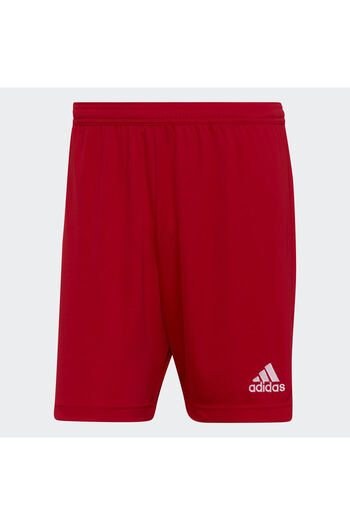 adidas Entrada 22 Şort