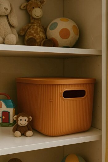 Bayev Colors Orange 3 Pieces 6 Lt Cabinet Organizer Organizer Toy Box Storage Box with Lid