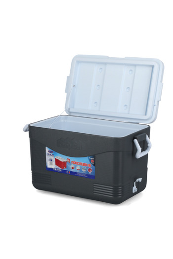 Cosmoplast Keep Cold BPA-Free Picnic Ice Box with Handle Grey 46 Liter